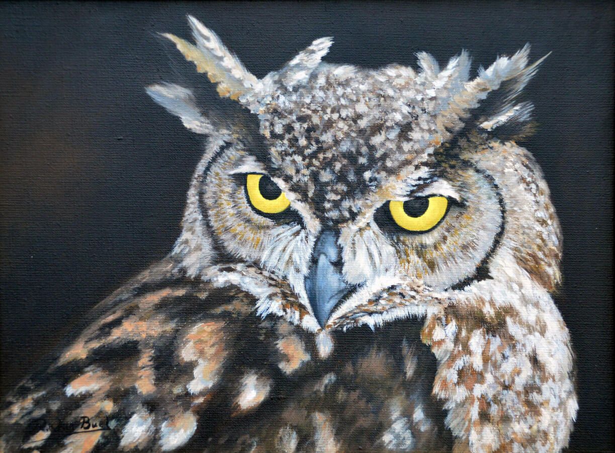 Schilderij "Kop van uil" olieverf op doek - Rudi Van Buel